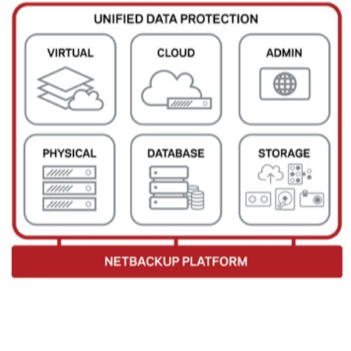 COHESITY ESS 12MO RNW FOR NBU OPT LIBRARY